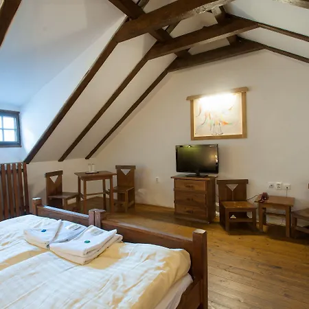 Hotel U Malého Vitka 3*