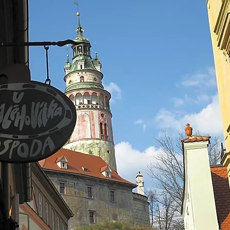 Hotell U Maleho Vitka