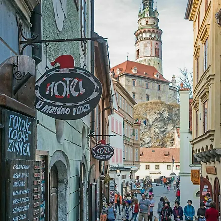Hotel U Maleho Vitka 3*