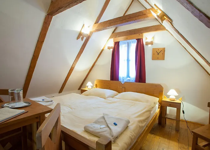 호텔 우 말레호 비트카 3*