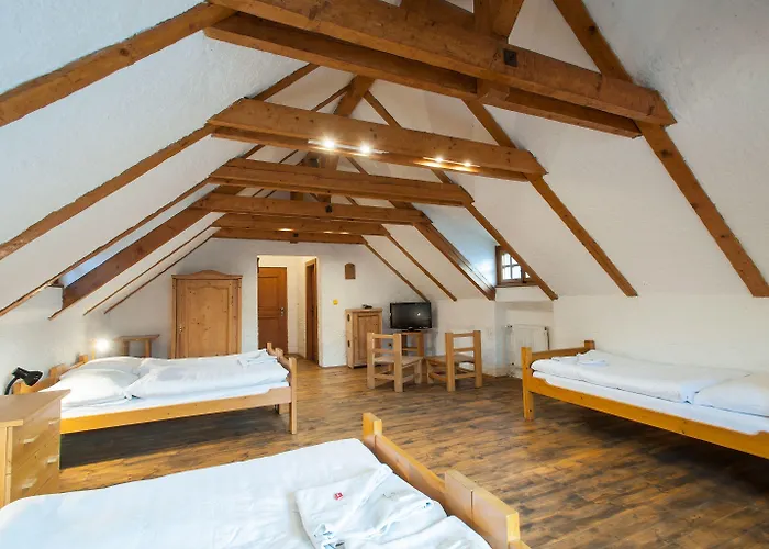 호텔 우 말레호 비트카 3*