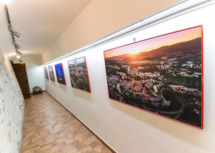 U Maleho Vitka Hotel